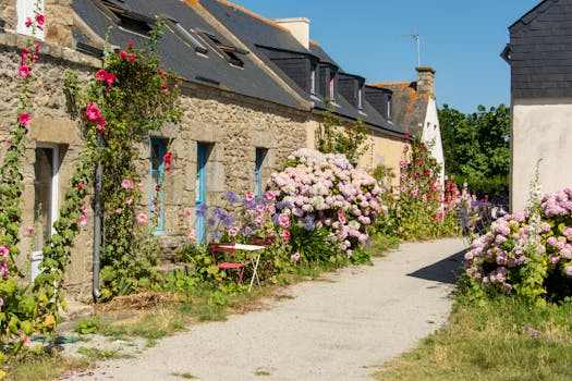 Wonen in Frankrijk: de charme van het platteland