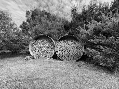 Winterproof tuin: planten en meubels beschermen